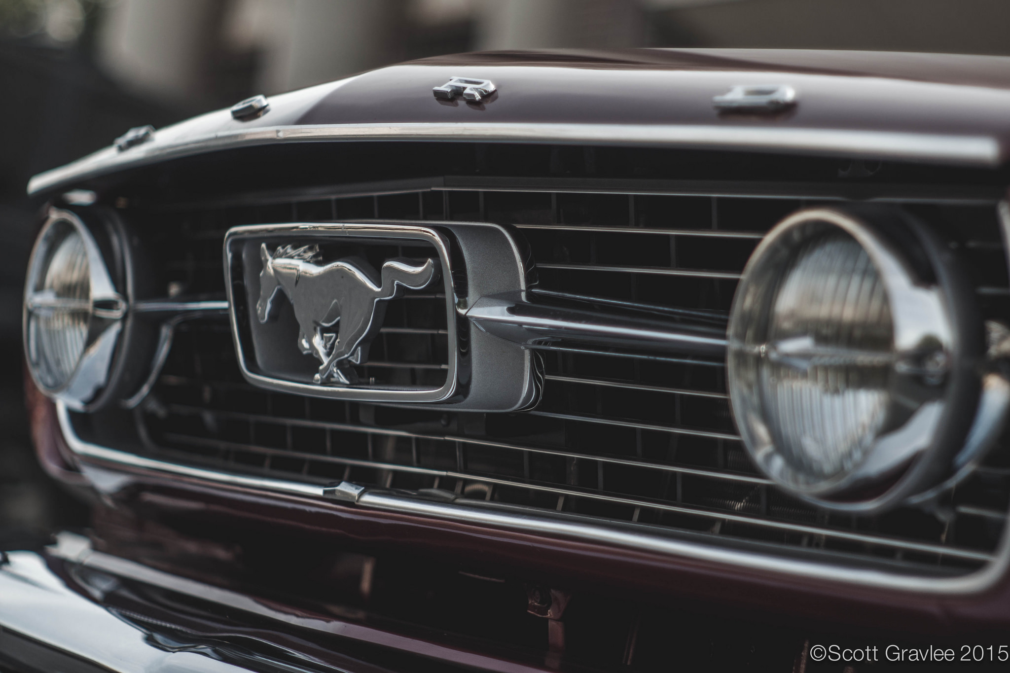 Tunes on Temple August 14 2015