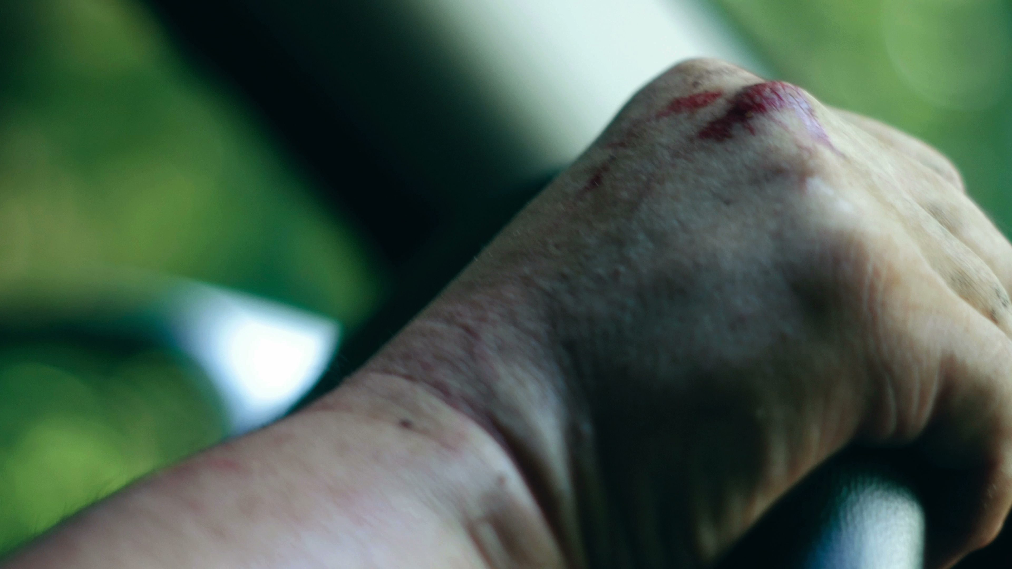 In the Woods an Afternoon of the Outdoors and Lens Testing